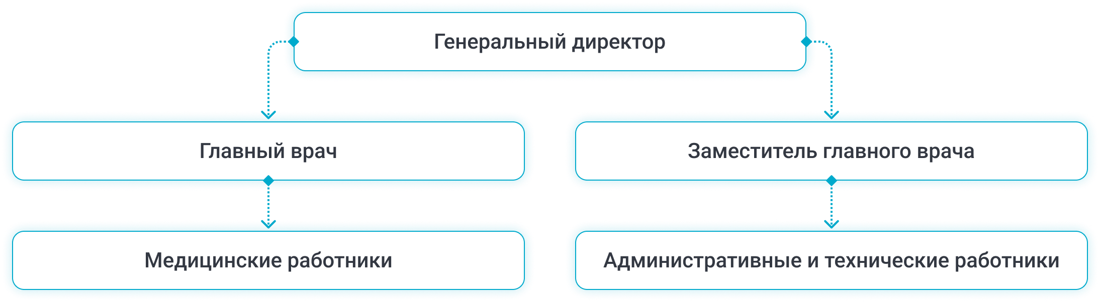 Структура управления ООО “Ваша лаборатория”