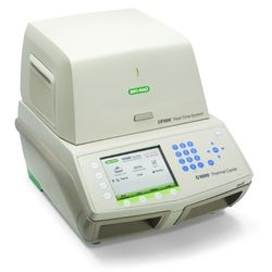 Амплификатор CFX-96 Touch “Real Time” Bio-Rad